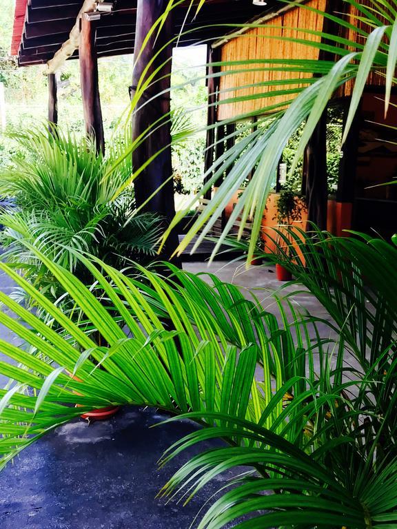 Tsunami Hostel Tamarindo Dış mekan fotoğraf