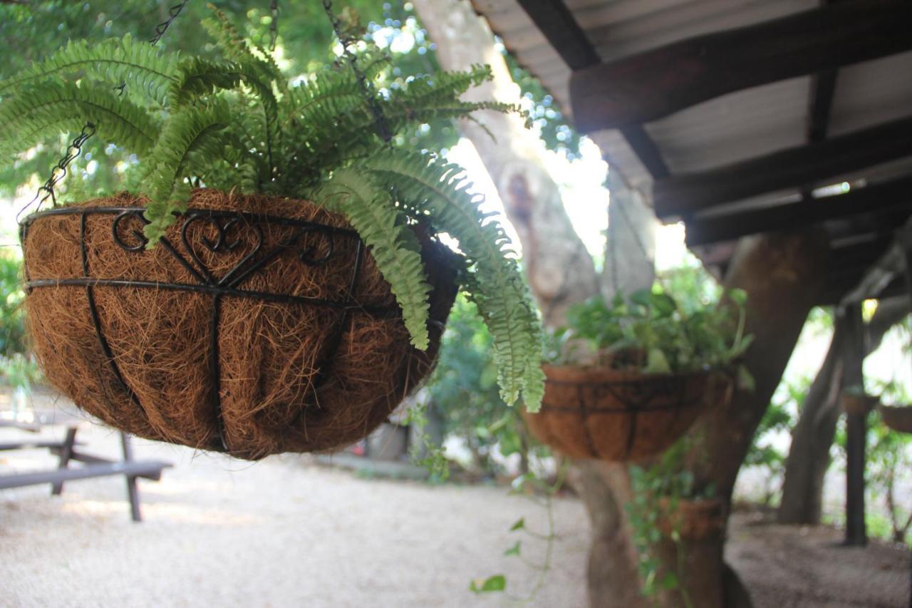 Tsunami Hostel Tamarindo Dış mekan fotoğraf