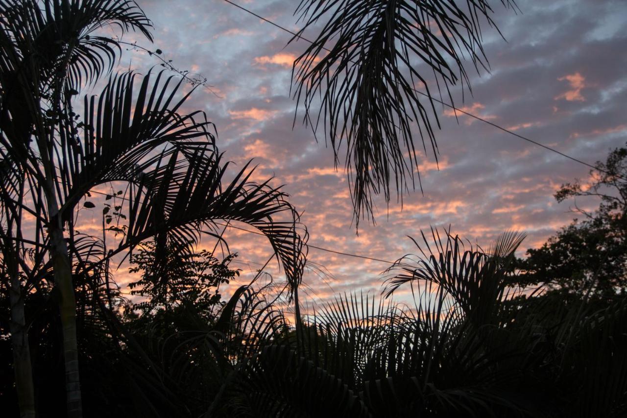 Tsunami Hostel Tamarindo Dış mekan fotoğraf